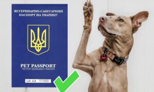 Скільки коштує закордонний паспорт для собаки в Україні 2026