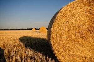 Сполучені штати америки: земля безмежних горизонтів
