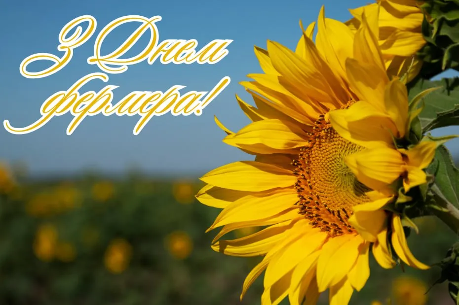 День фермера в Украине alt