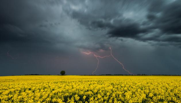 Гроза у квітні: блискавки в темних хмарах над жовтим полем
