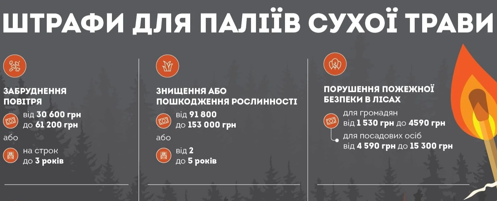 Штрафи за спалення сухої трави: 3060-6120 грн (ст. 77-1), експлуатація лісу 850-1700 грн.