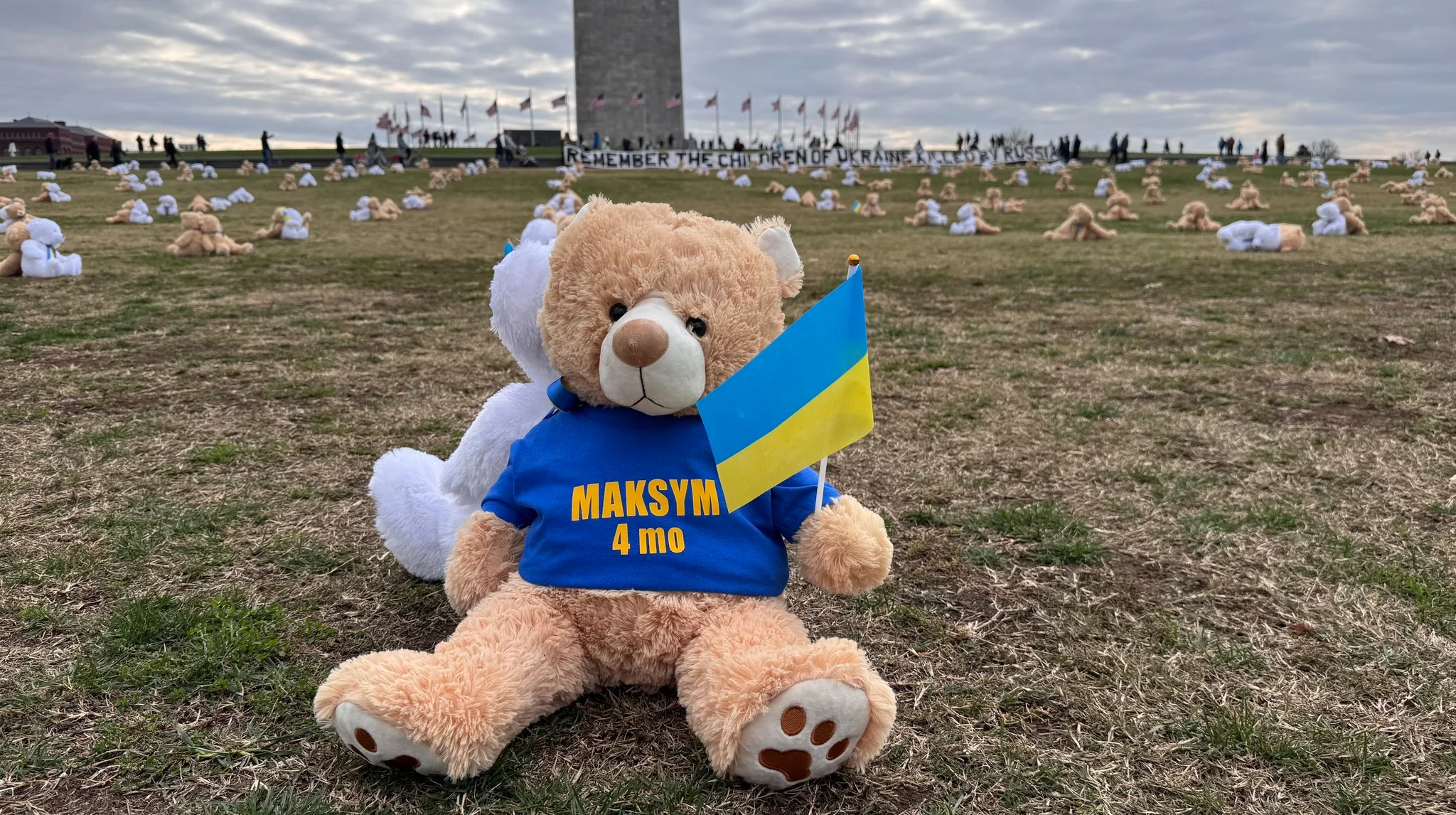 20 тисяч плюшевих ведмедиків на Національній алеї у Вашингтоні символізують викрадених українських дітей