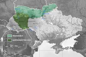Геологічна будова зони мішаних лісів
