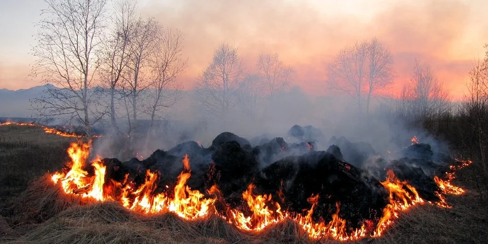 Пожежна небезпека в Україні: степова пожежа під час спеки 6 травня