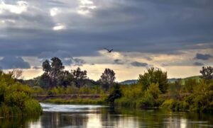 Водні ресурси це: ключ до життя планети та кожного з нас