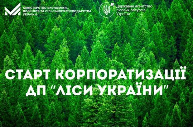 Болоховець: «Ліси України» у 2026 році живе за правилами корпоративного управління