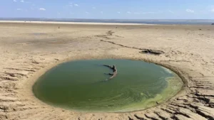 Каховське водосховище зараз