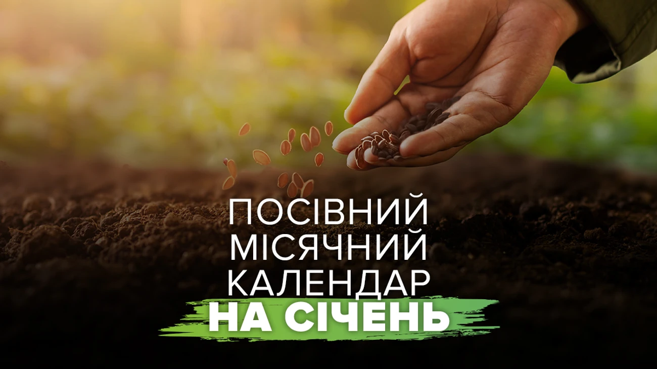 Посевной календарь на январь alt