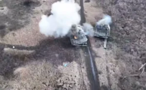 Бджола-бабайка в дії: відео полку «Арей» набирає 182 тис. переглядів