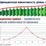 Норма реакції це діапазон мінливості одного генотипу