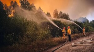 Пожежники загасили осередок вогню в Чорнобильській зоні