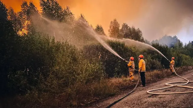 Пожежники загасили осередок вогню в Чорнобильській зоні