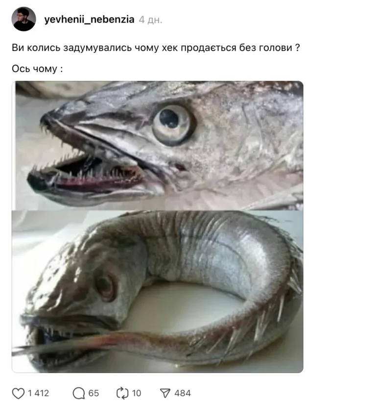 Голова хека: почему её срезают ещё в океане