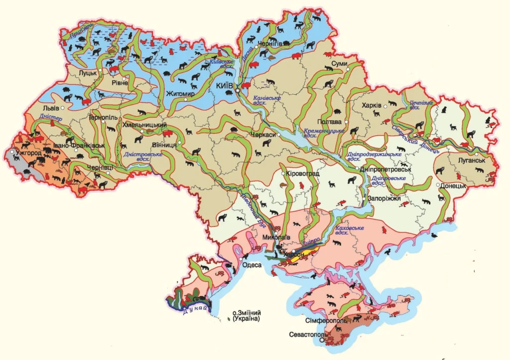 Тварини України: жива карта від боліт до гір