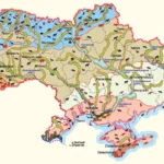 Тварини України: жива карта від боліт до гір