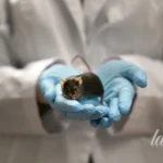 Запах тіла, які хвороби можуть ховатися за незвичним ароматом