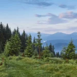 Легенди про Карпати: 12 переказів з гір