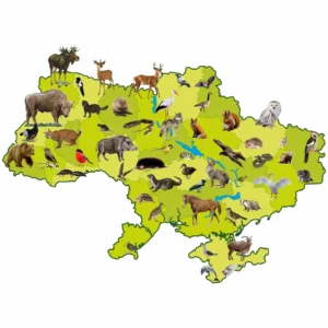 З якою твариною асоціюється Україна насправді